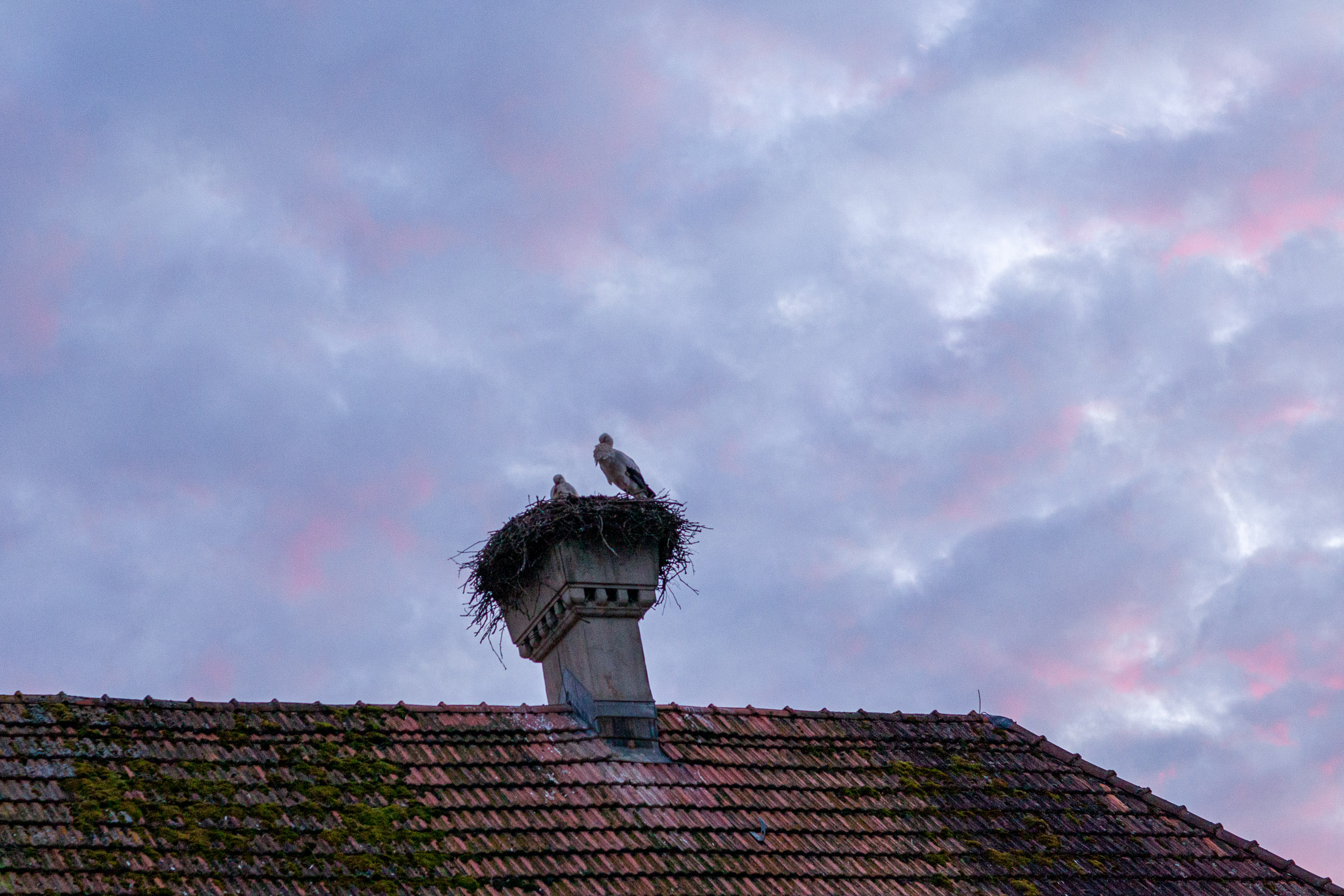 20120224181013 IMG 3286